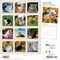 Plato; I Love Cats | 2027 12 x 24 Inch (Hanging) Monthly Square Wall Calendar | Foil Stamped Cover; Category:Wall Calendars; Image:3